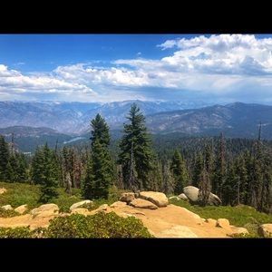 Meet your Posher, Jamie